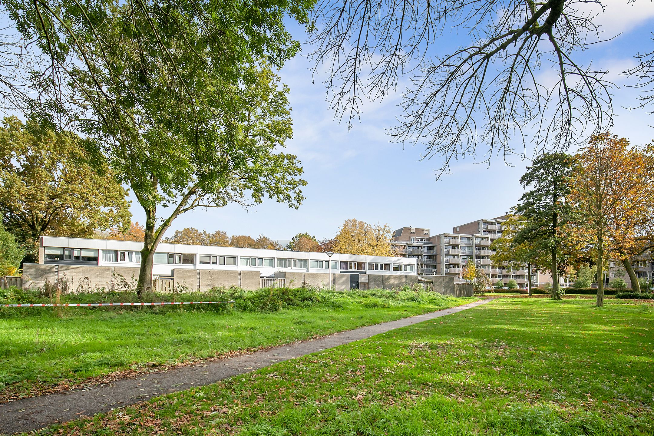 Photo 6 of Callistopad 22