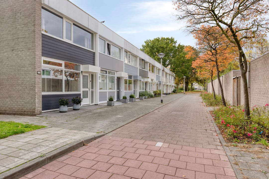 Photo 7 of Callistopad 22