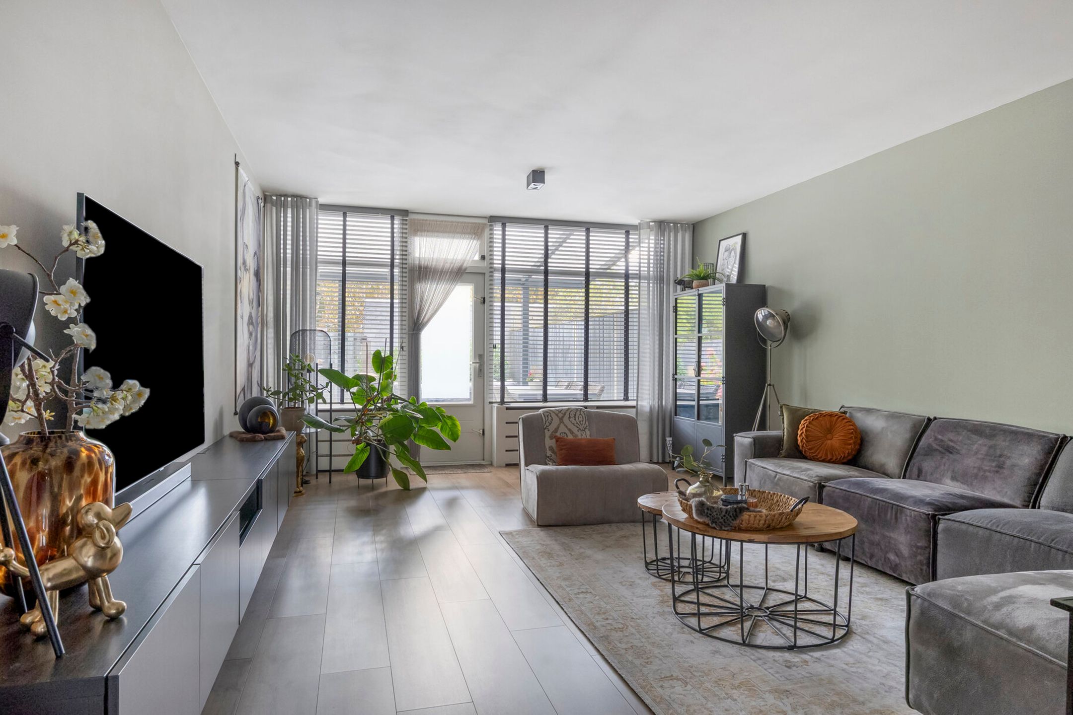 Photo 9 of Callistopad 22