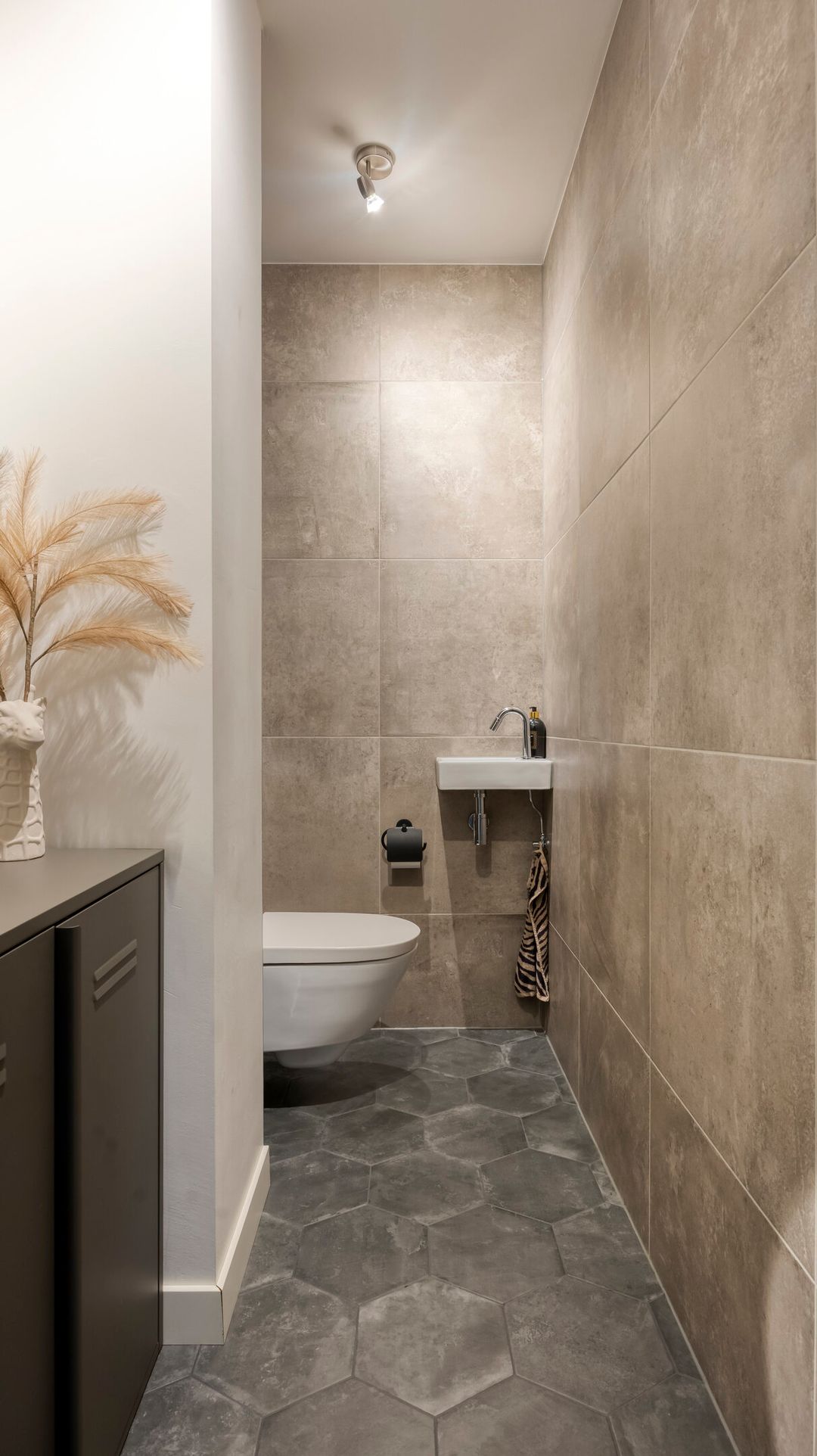 Photo 11 of Callistopad 22