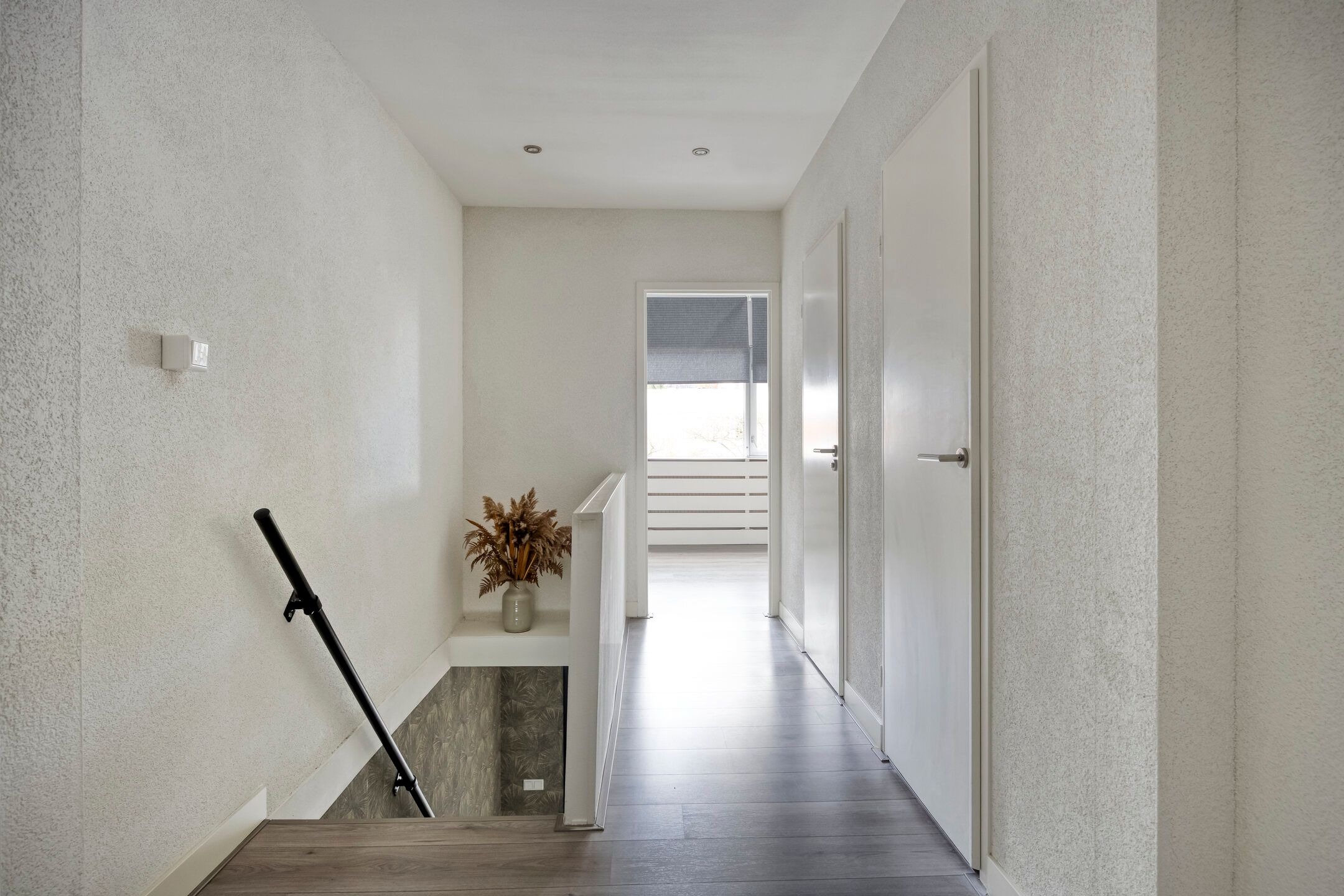 Photo 21 of Callistopad 22