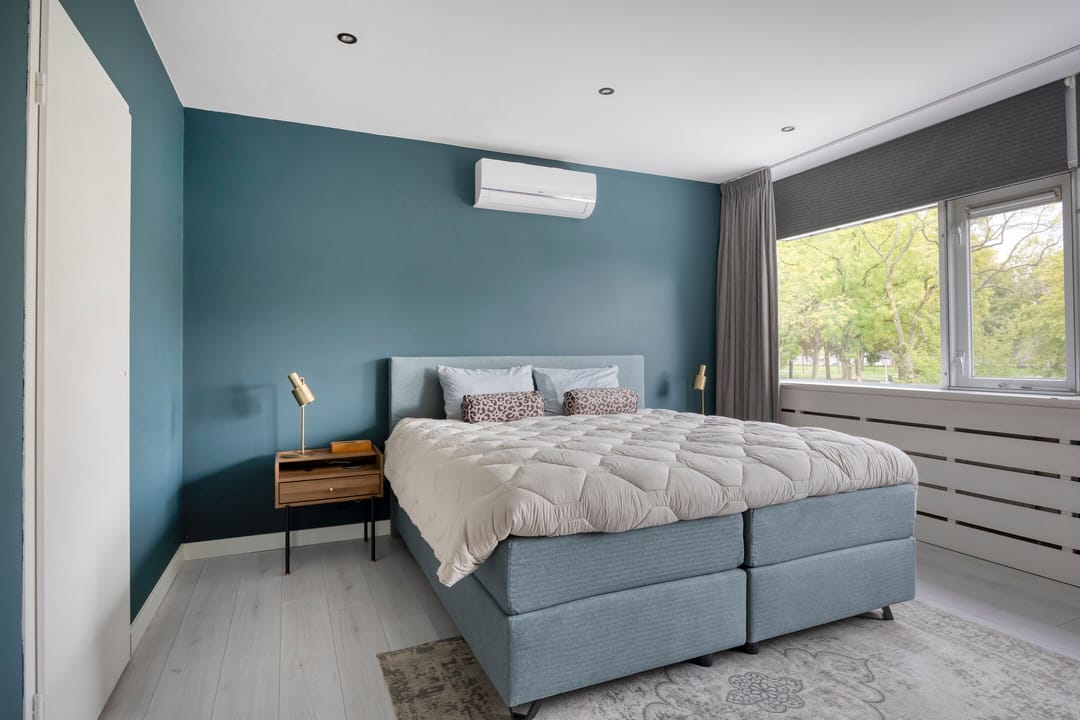 Photo 23 of Callistopad 22