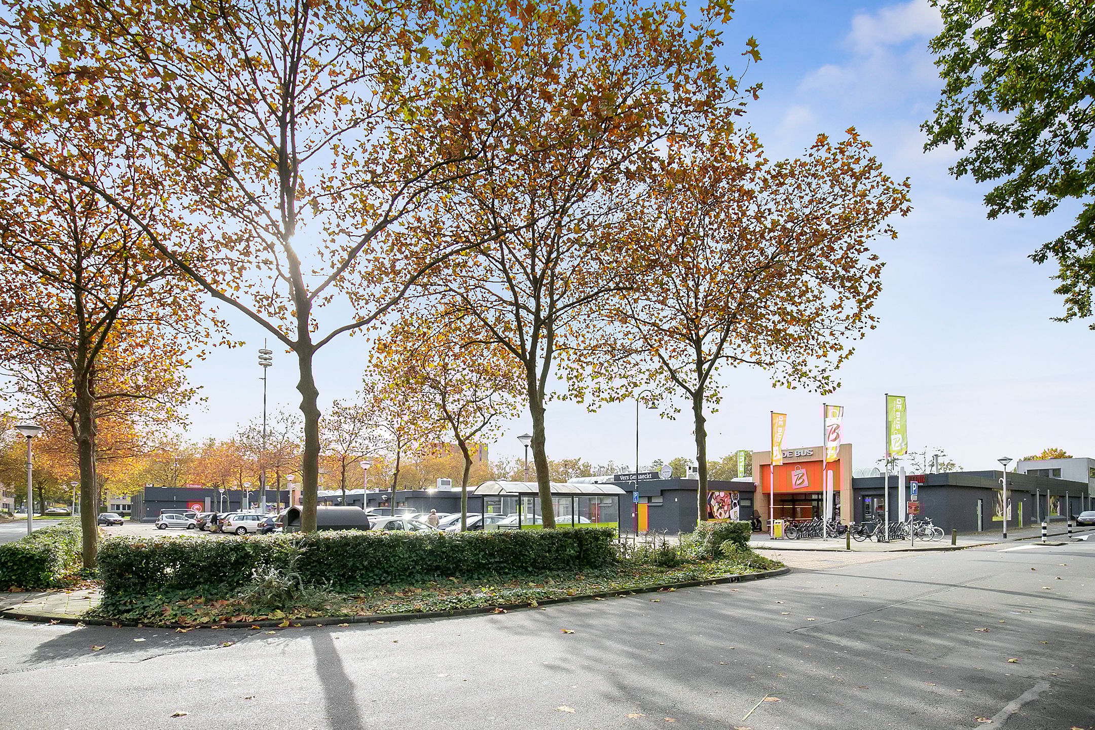 Photo 27 of Callistopad 22