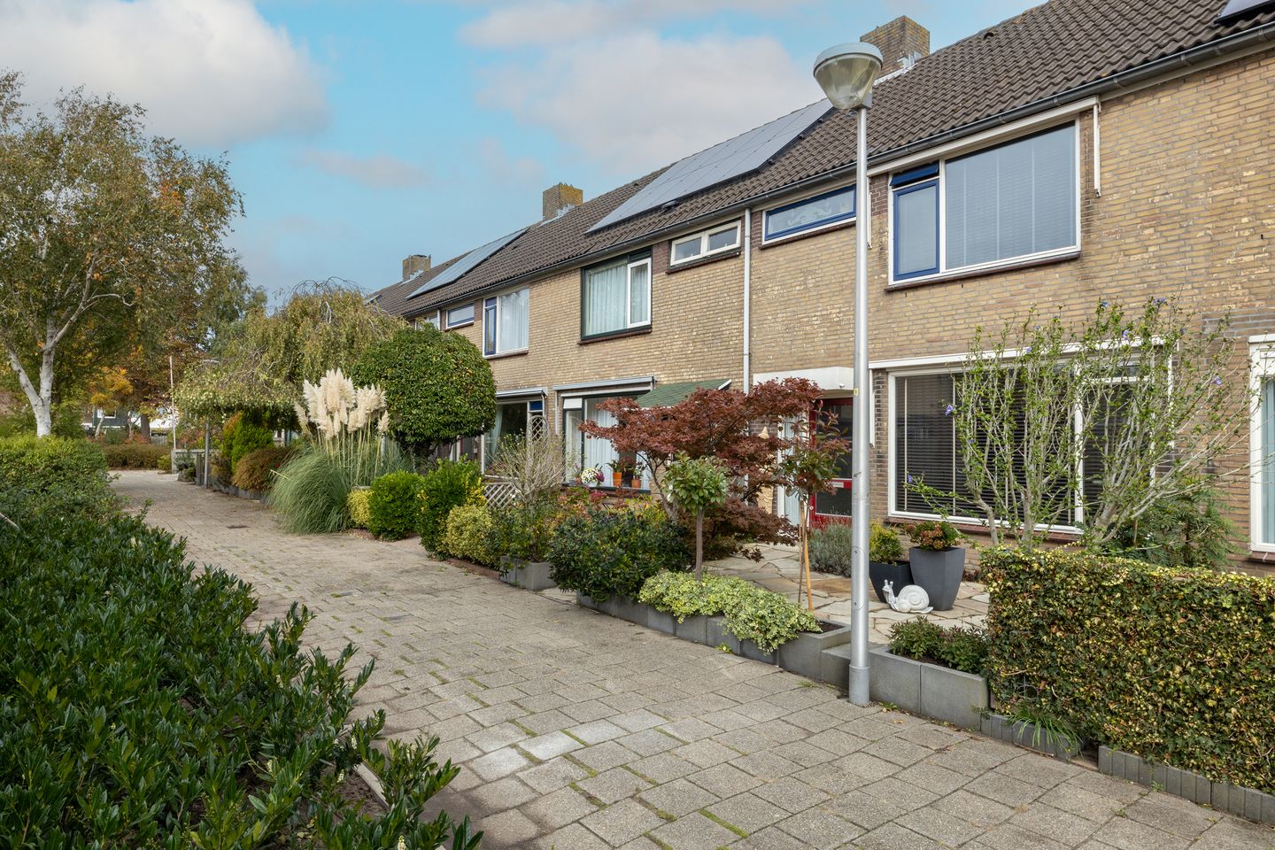 Foto 35 van Berkenhove 2