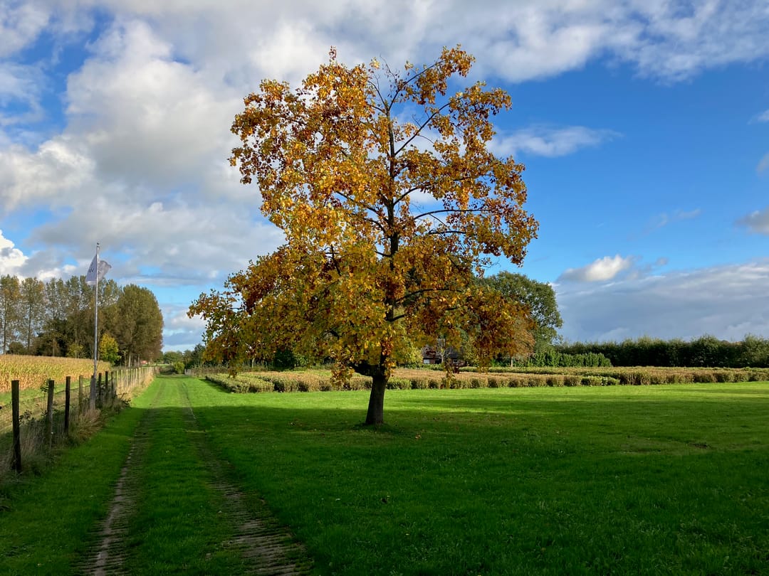 Foto 16 van Oude Aaltenseweg 52