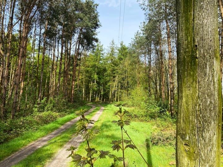 Foto 3 van Stellingenweg 102