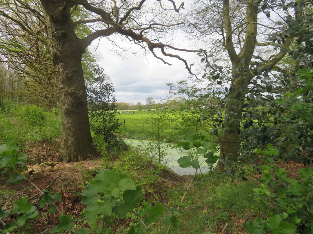 Photo 11 of Stellingenweg 102