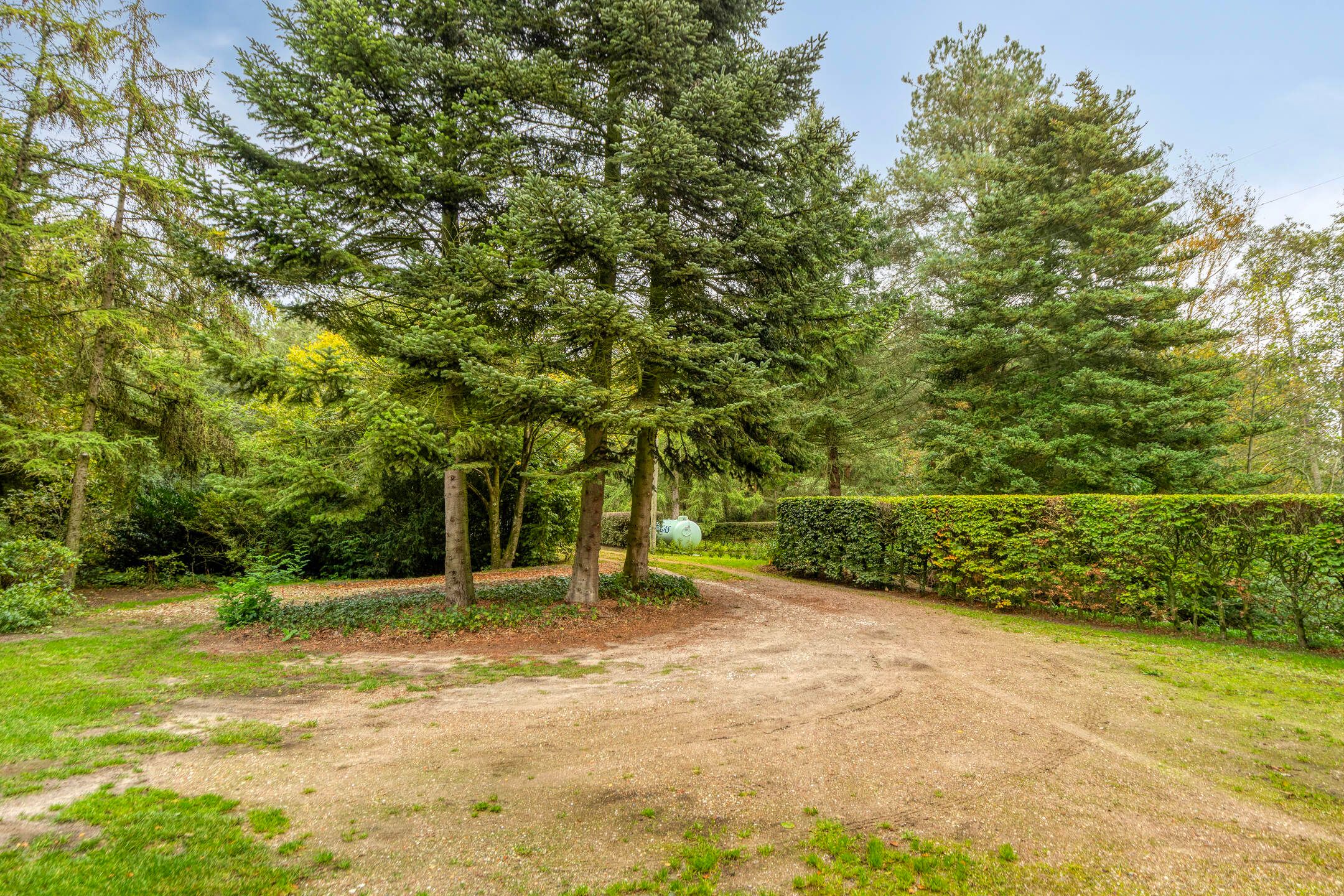 Photo 63 of Stellingenweg 102