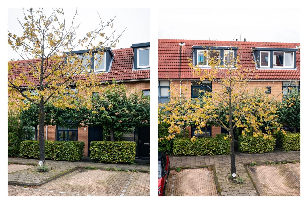 Foto 31 van Pauwenburg 7