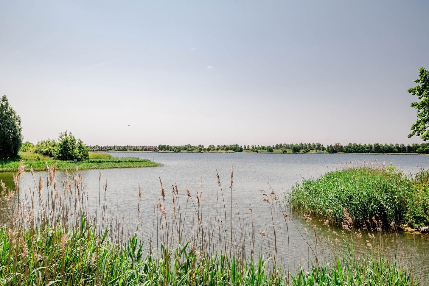 Foto 35 van Pauwenburg 7