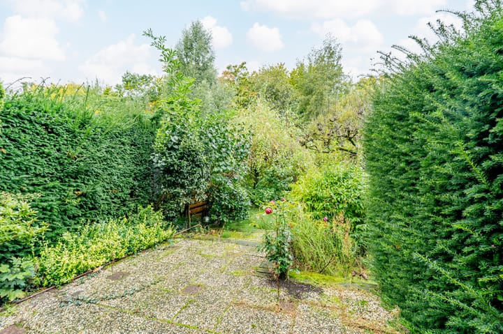 Foto 38 van In de Houtzaagmolen 25