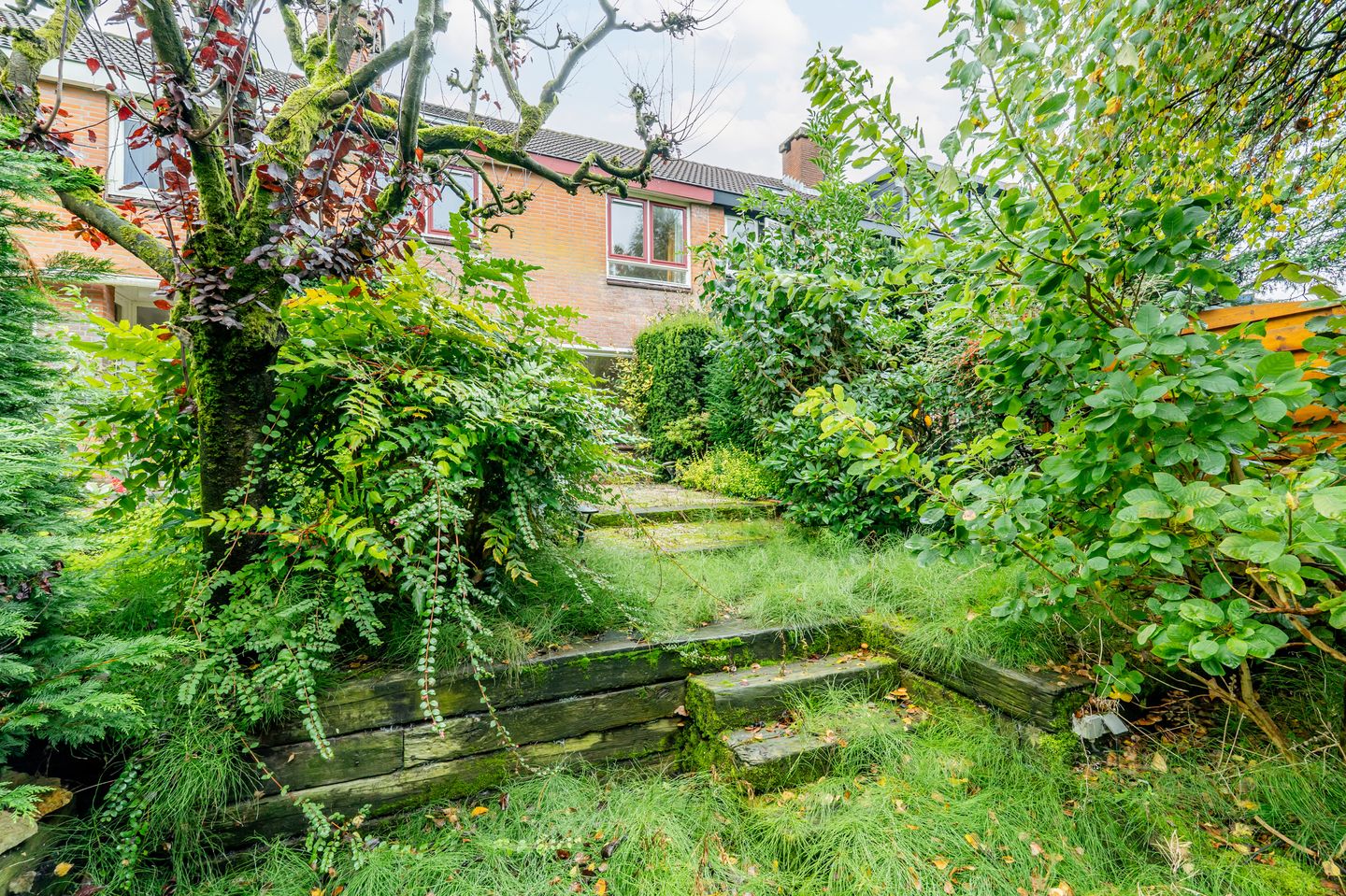 Foto 40 van In de Houtzaagmolen 25