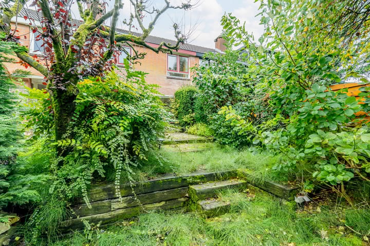 Foto 40 van In de Houtzaagmolen 25