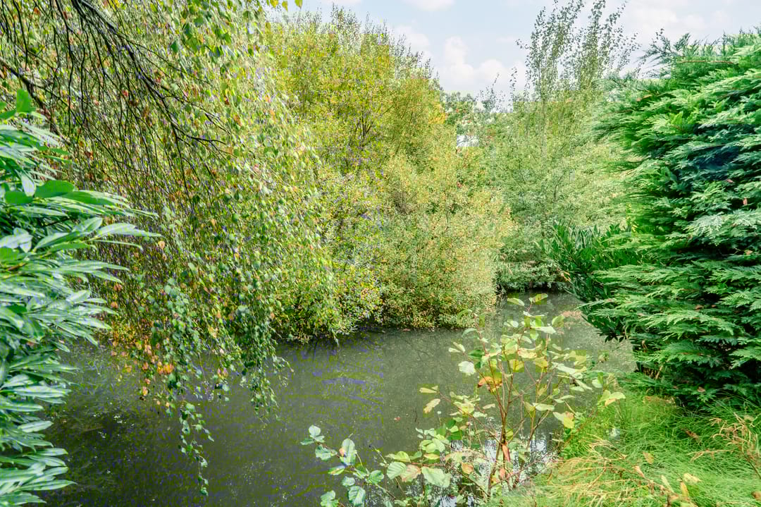 Foto 41 van In de Houtzaagmolen 25