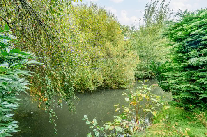 Foto 41 van In de Houtzaagmolen 25