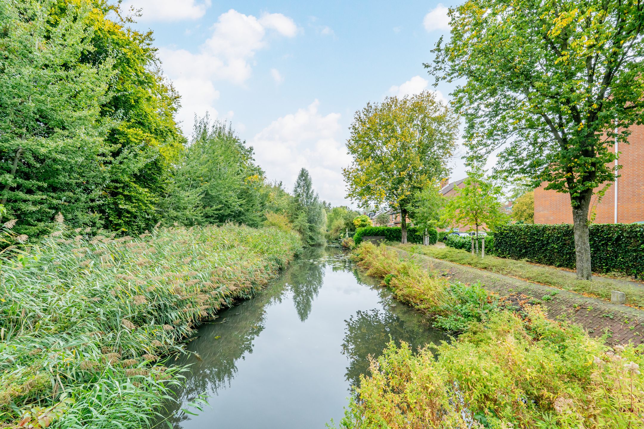 Foto 48 van In de Houtzaagmolen 25