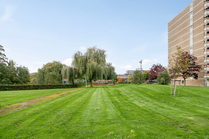 Photo 30 of Aalscholversingel 222