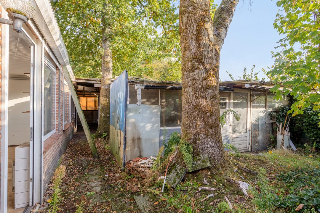 Foto 13 van Schaapdijkstraat 3