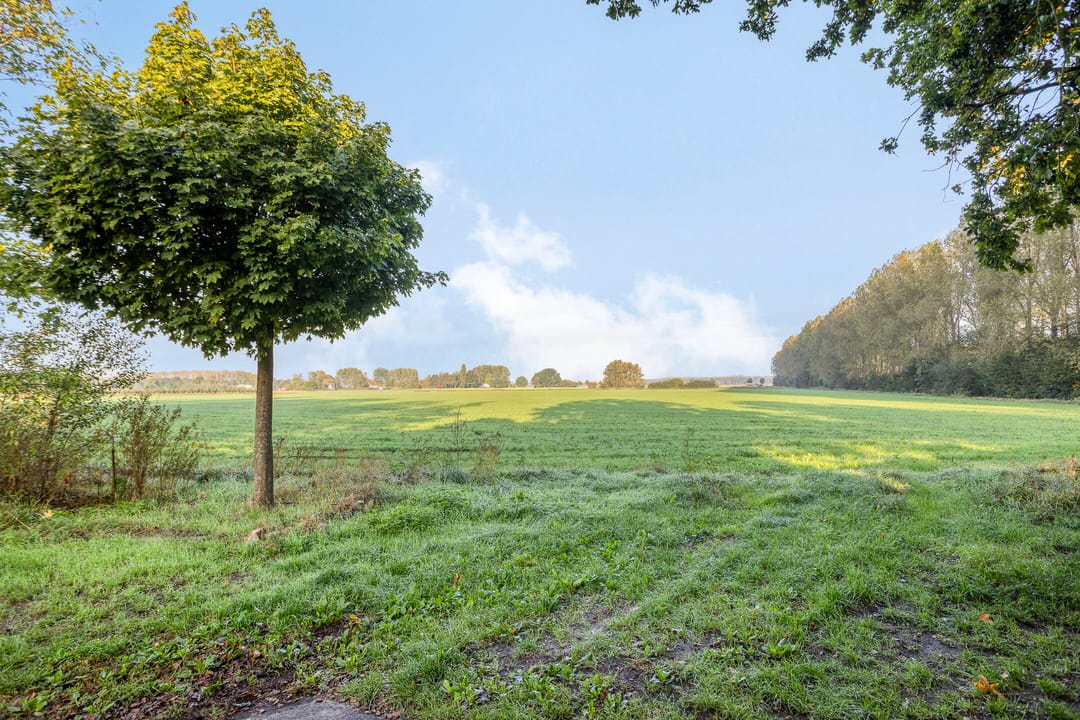 Foto 22 van Schaapdijkstraat 3