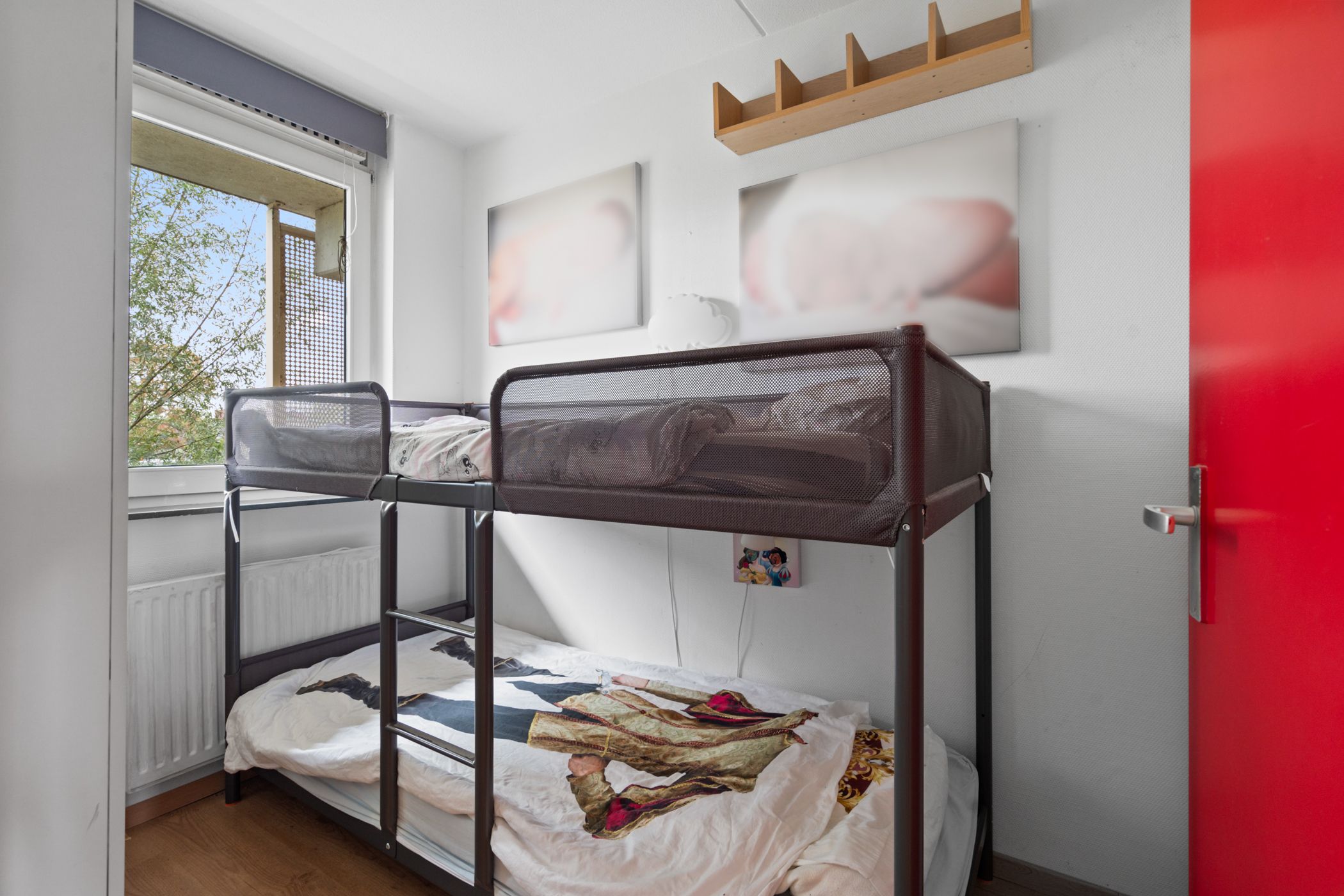 Photo 21 of Sleper 14