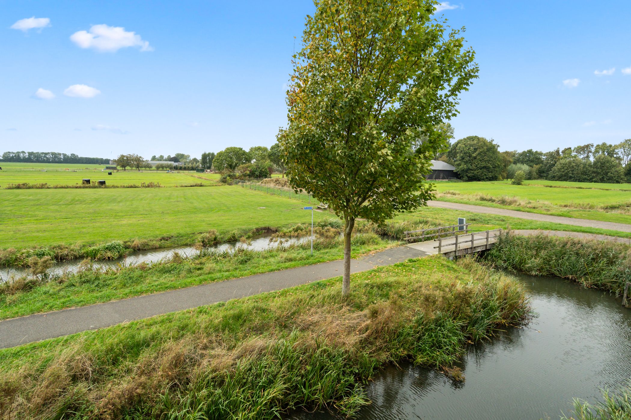 Photo 27 of Sleper 14