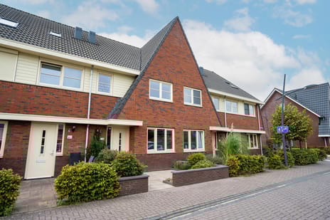 undefined main image