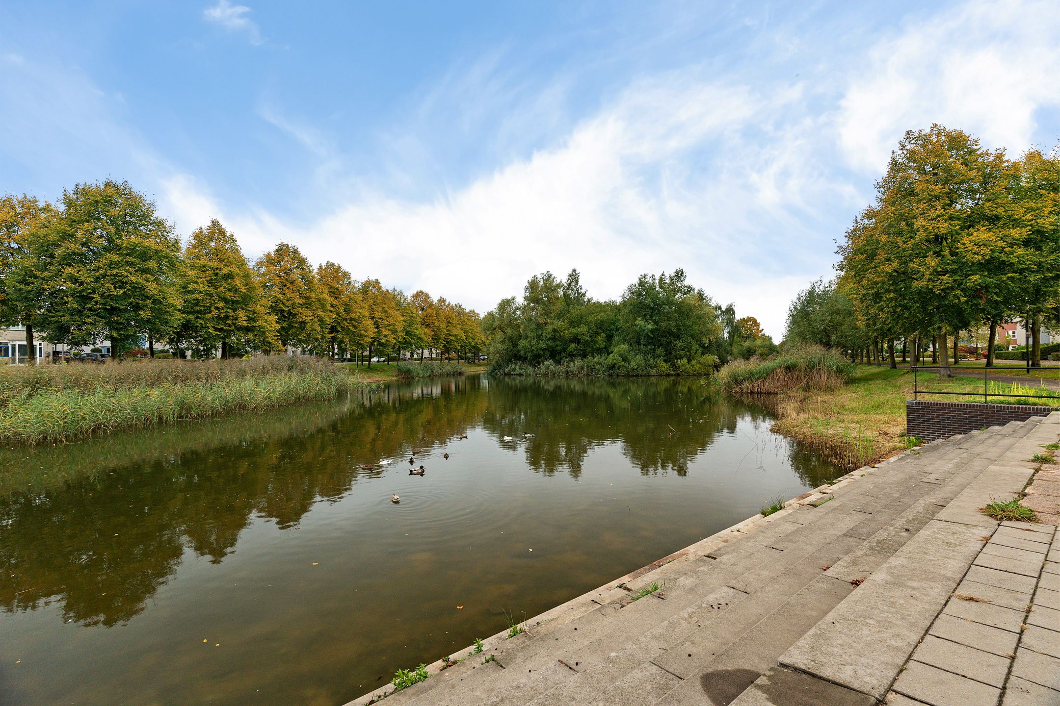 Foto 9 van Straatsburg 250