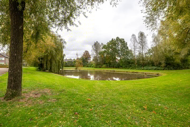 Foto 6 van De Muijnhorn 6