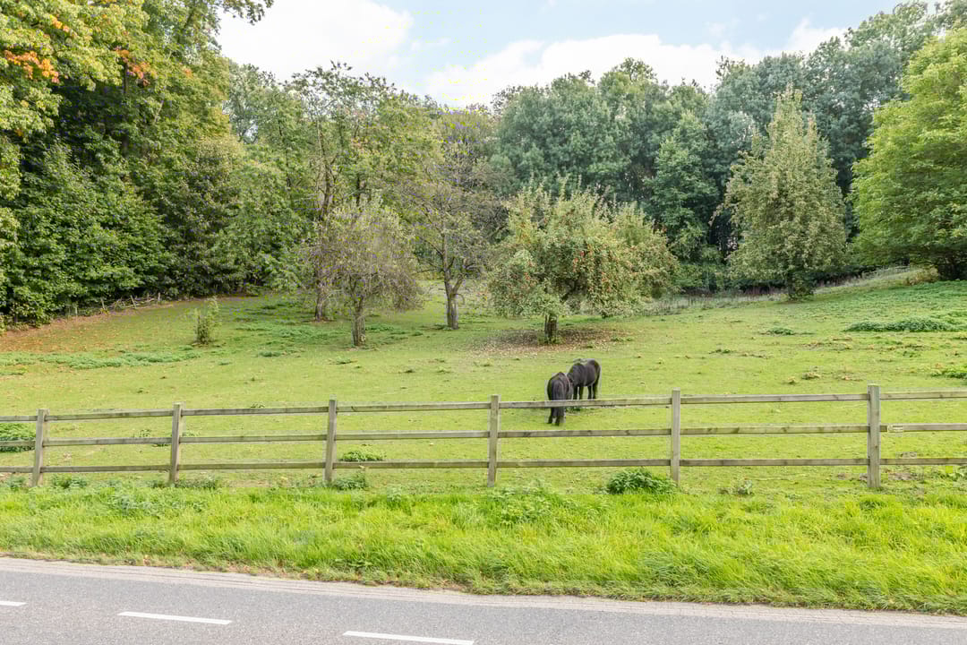 Foto 32 van Daalhemerweg 132