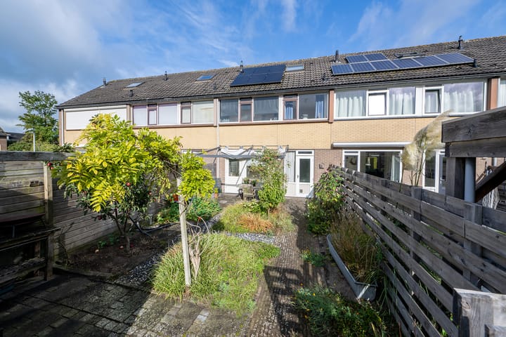 Foto 32 van Zegge 40