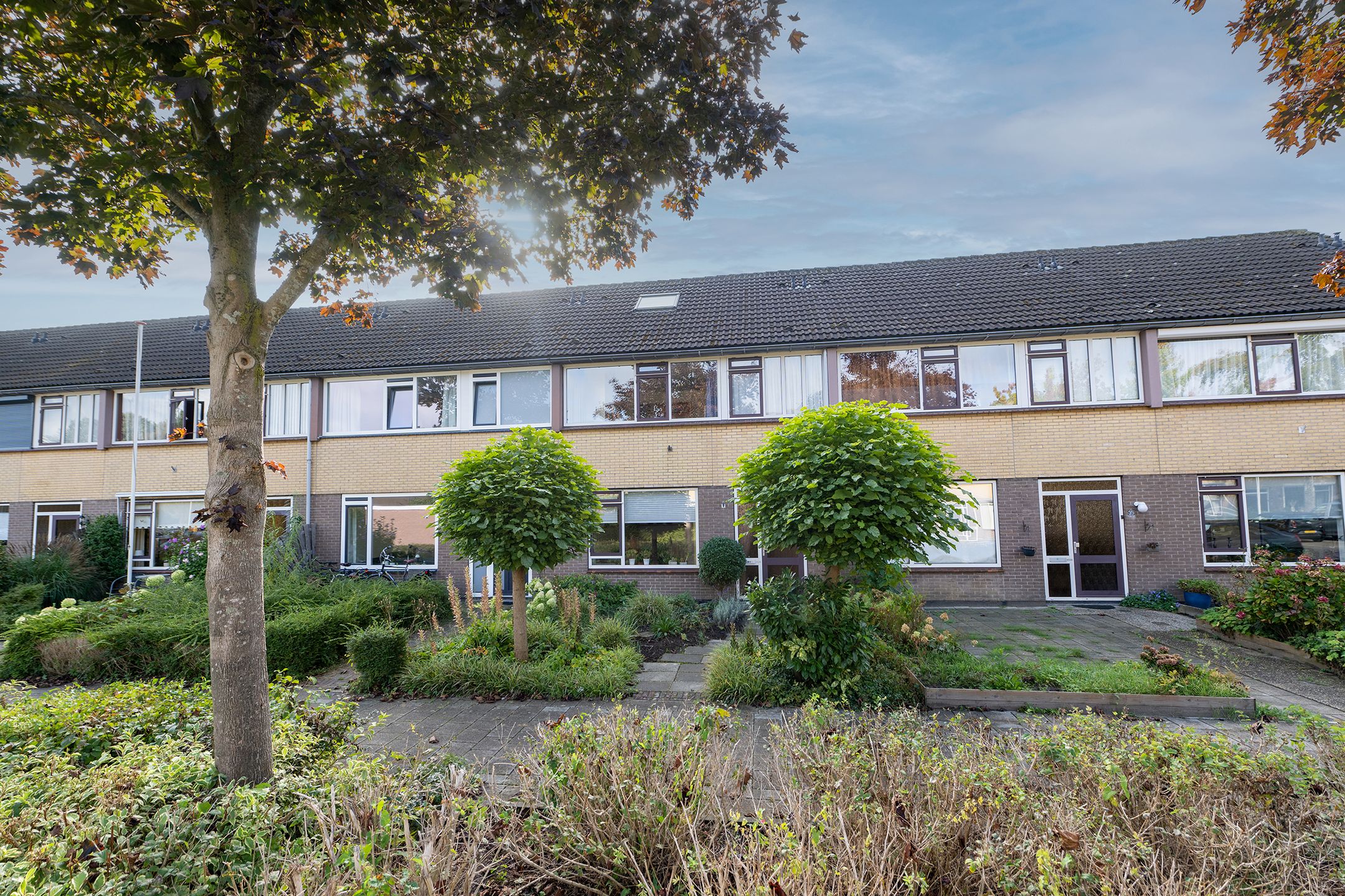 Photo 33 of Zegge 40