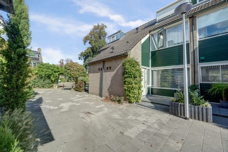 undefined main image