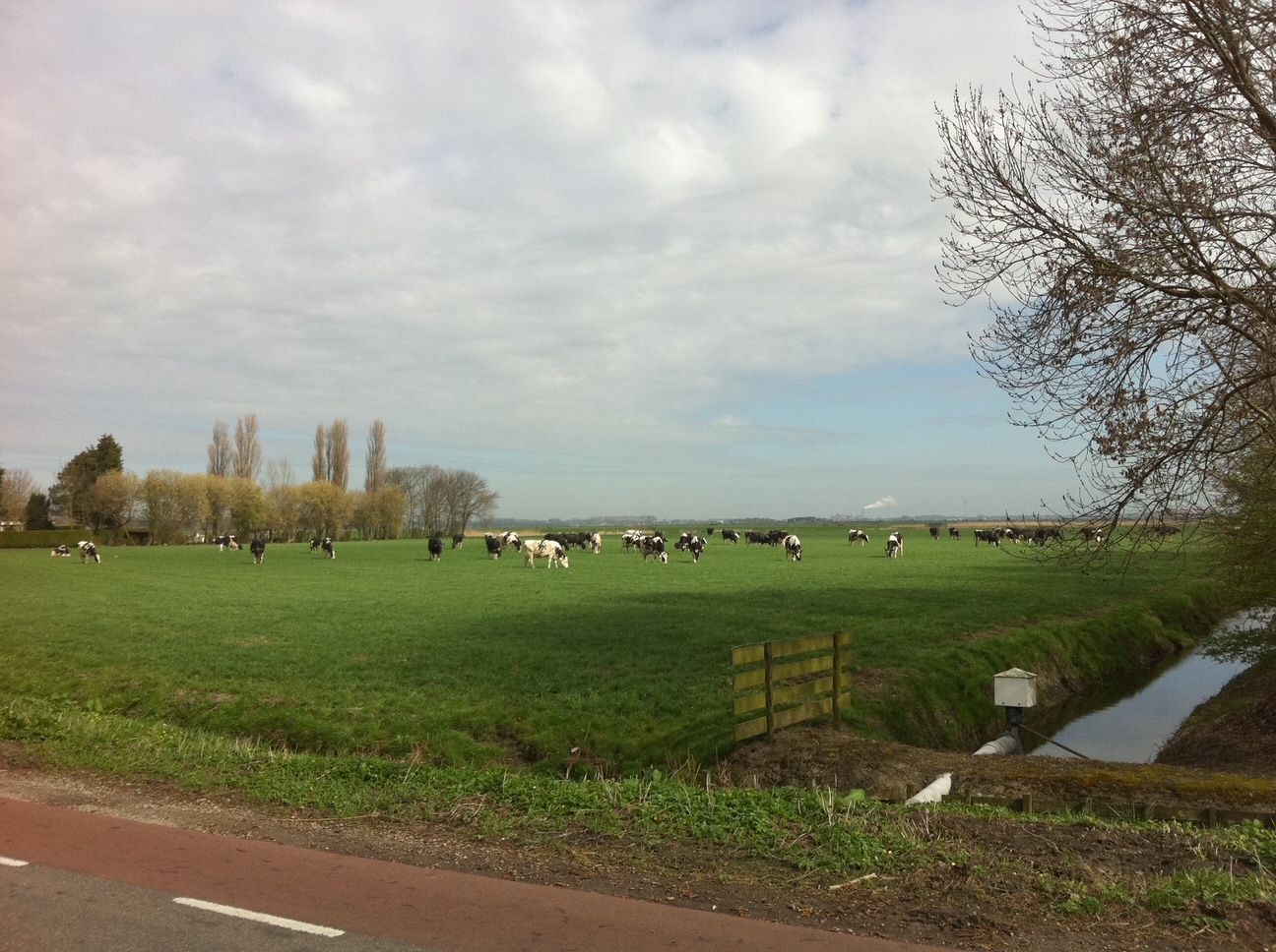 Foto 4 van Uitgeesterweg 16