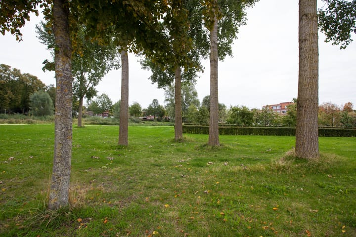 Photo 50 of Sellekamp 51