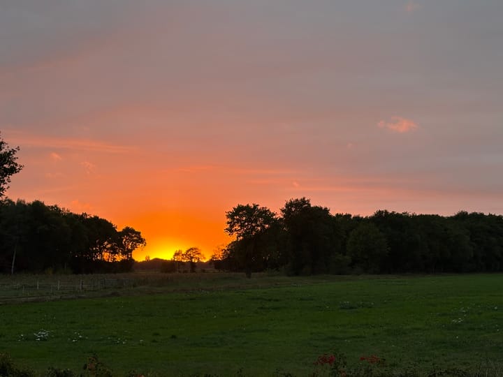 Photo 47 of Groenstraat 14-B