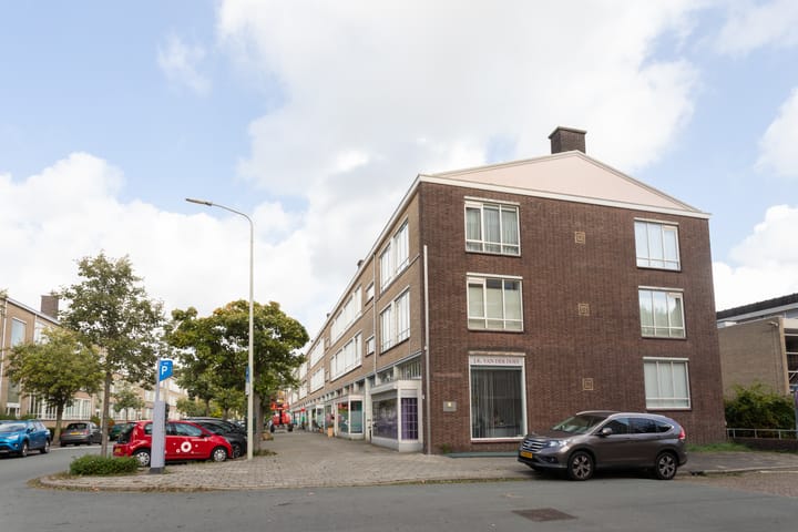 Foto 20 van Breitnerlaan 245-A