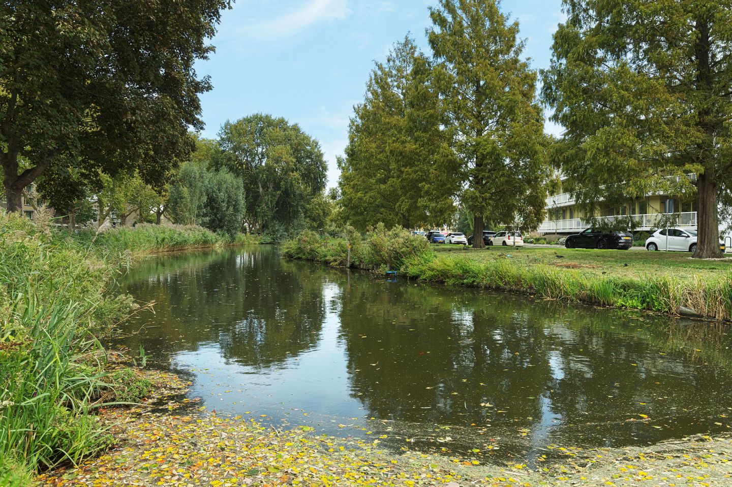 Foto 25 van Adriaen van Ostadestraat 4