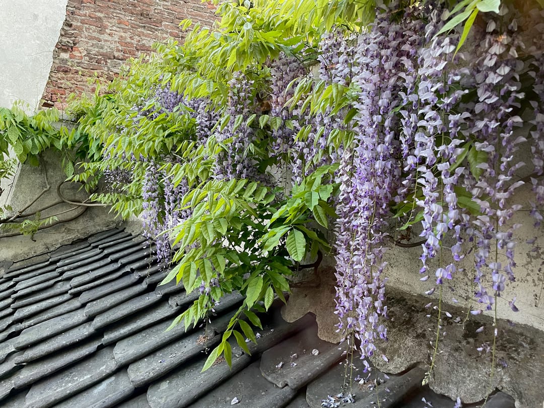 Foto 46 van IJsselkade 16