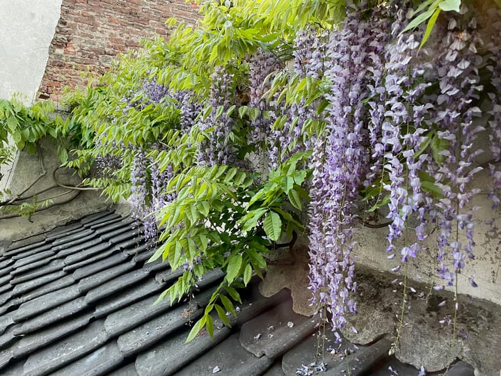 Foto 46 van IJsselkade 16