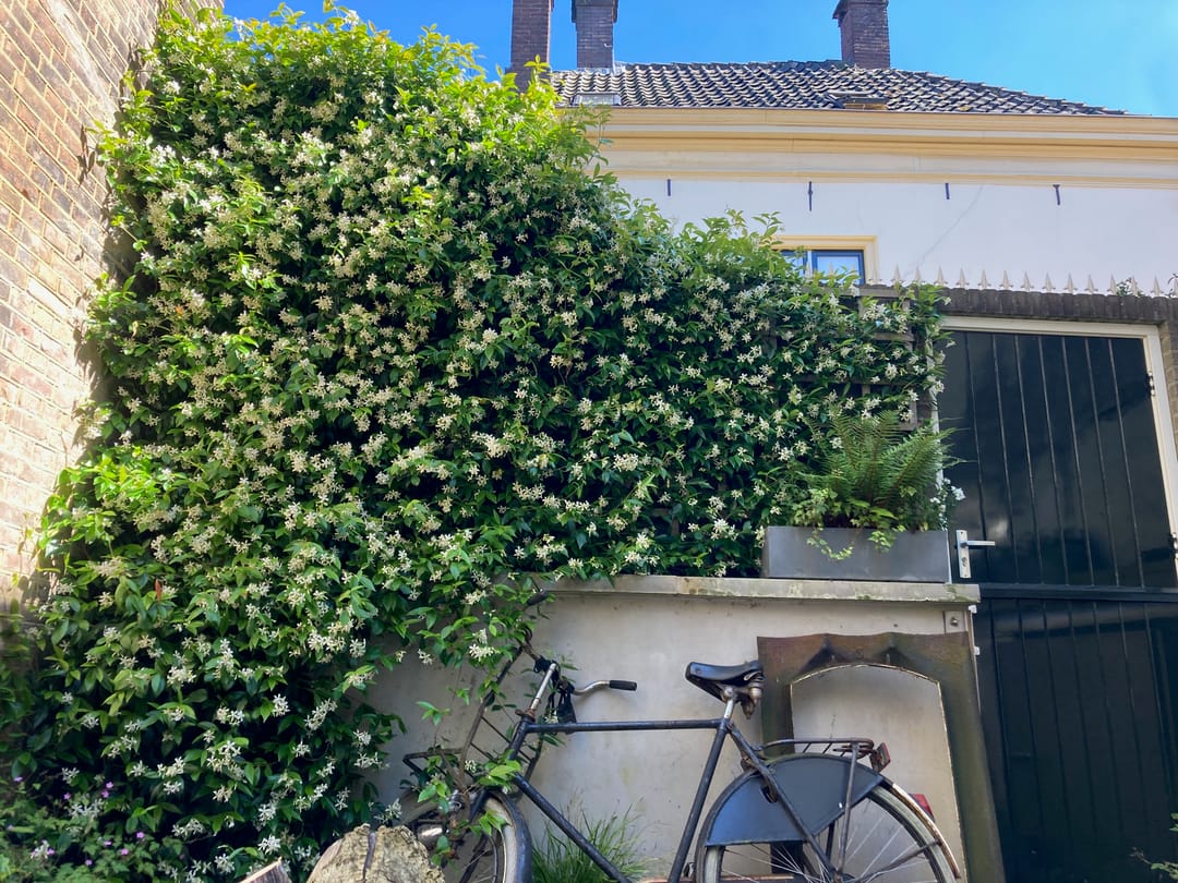 Foto 47 van IJsselkade 16