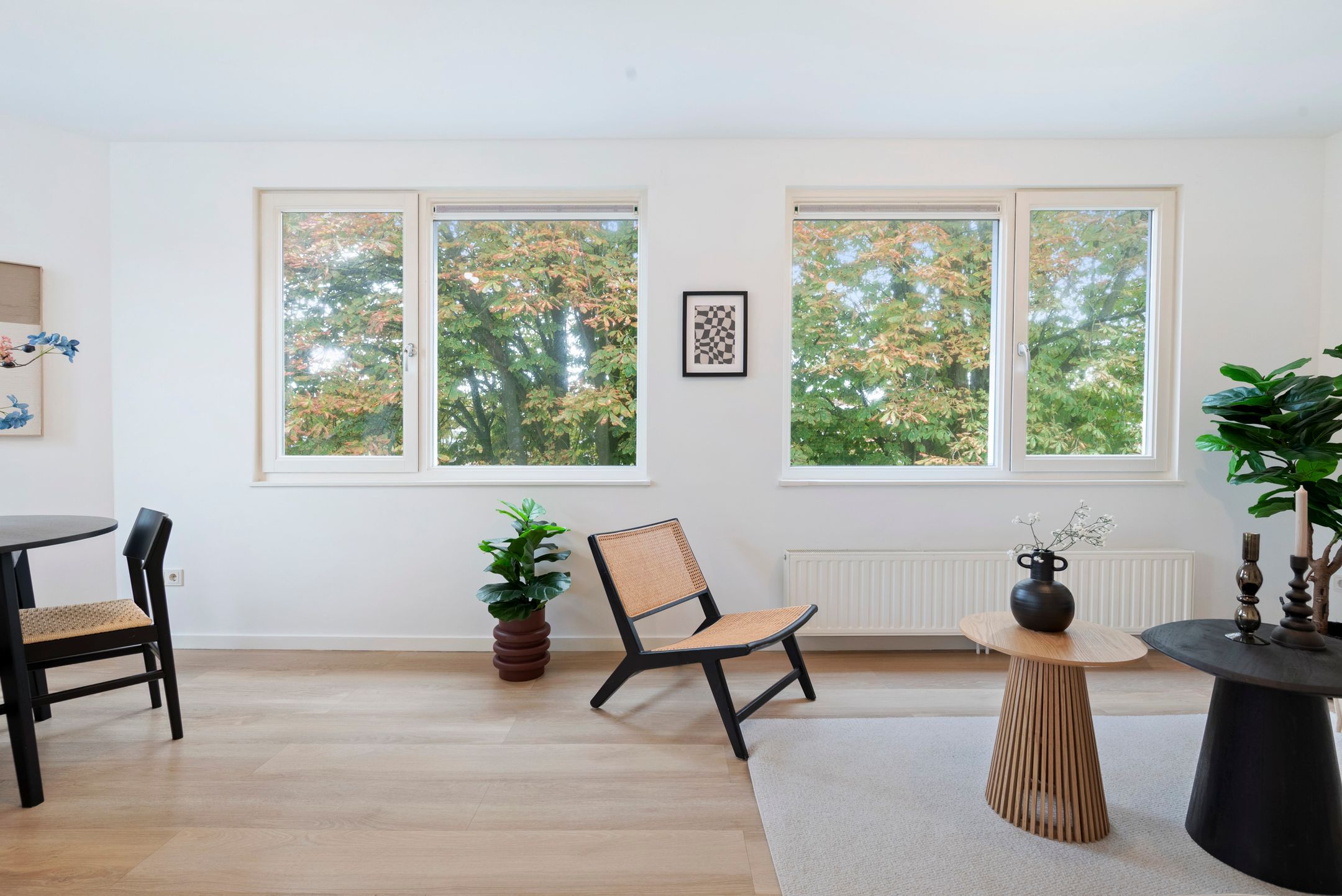 Foto 3 van Rijnstraat 82-B