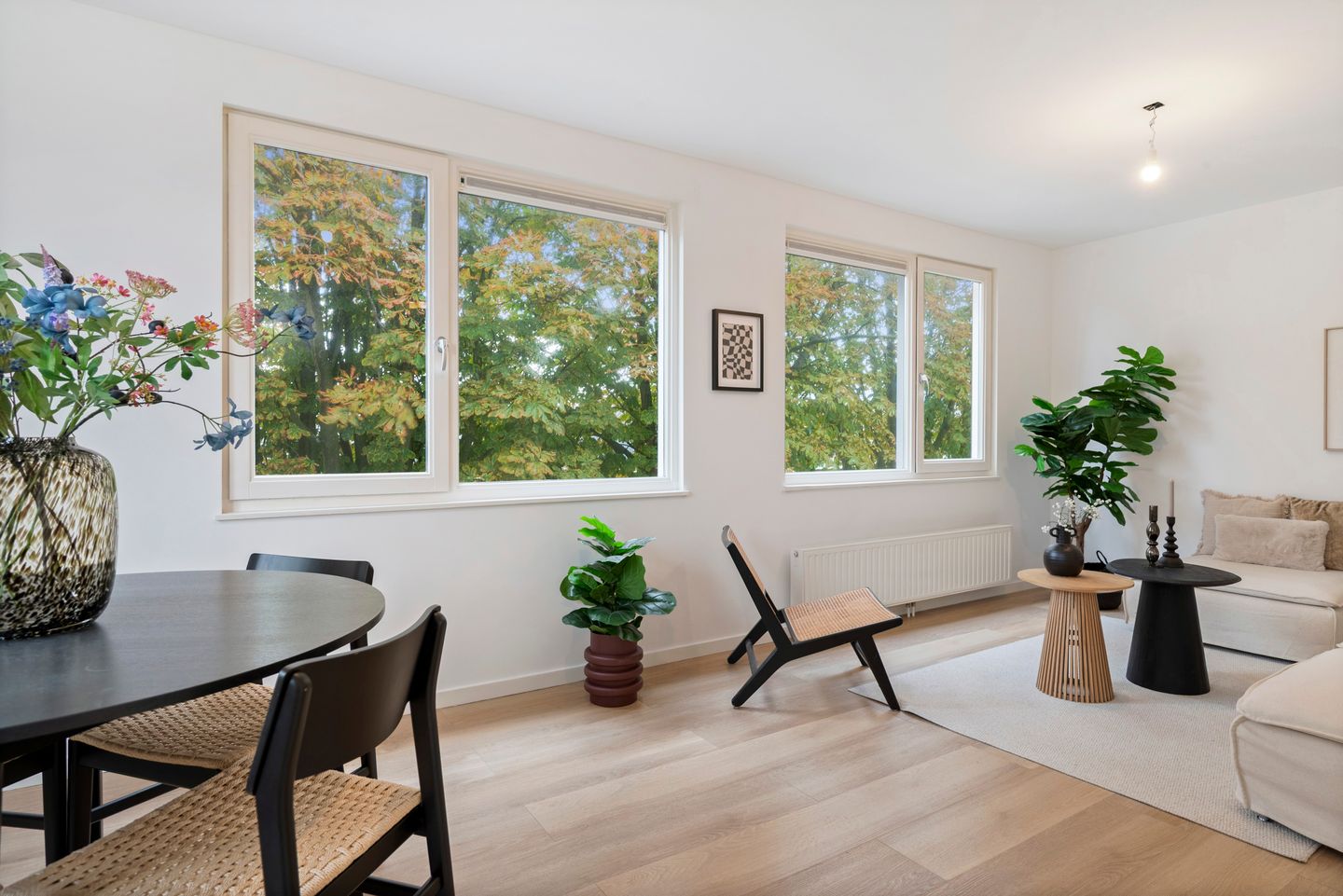 Foto 5 van Rijnstraat 82-B