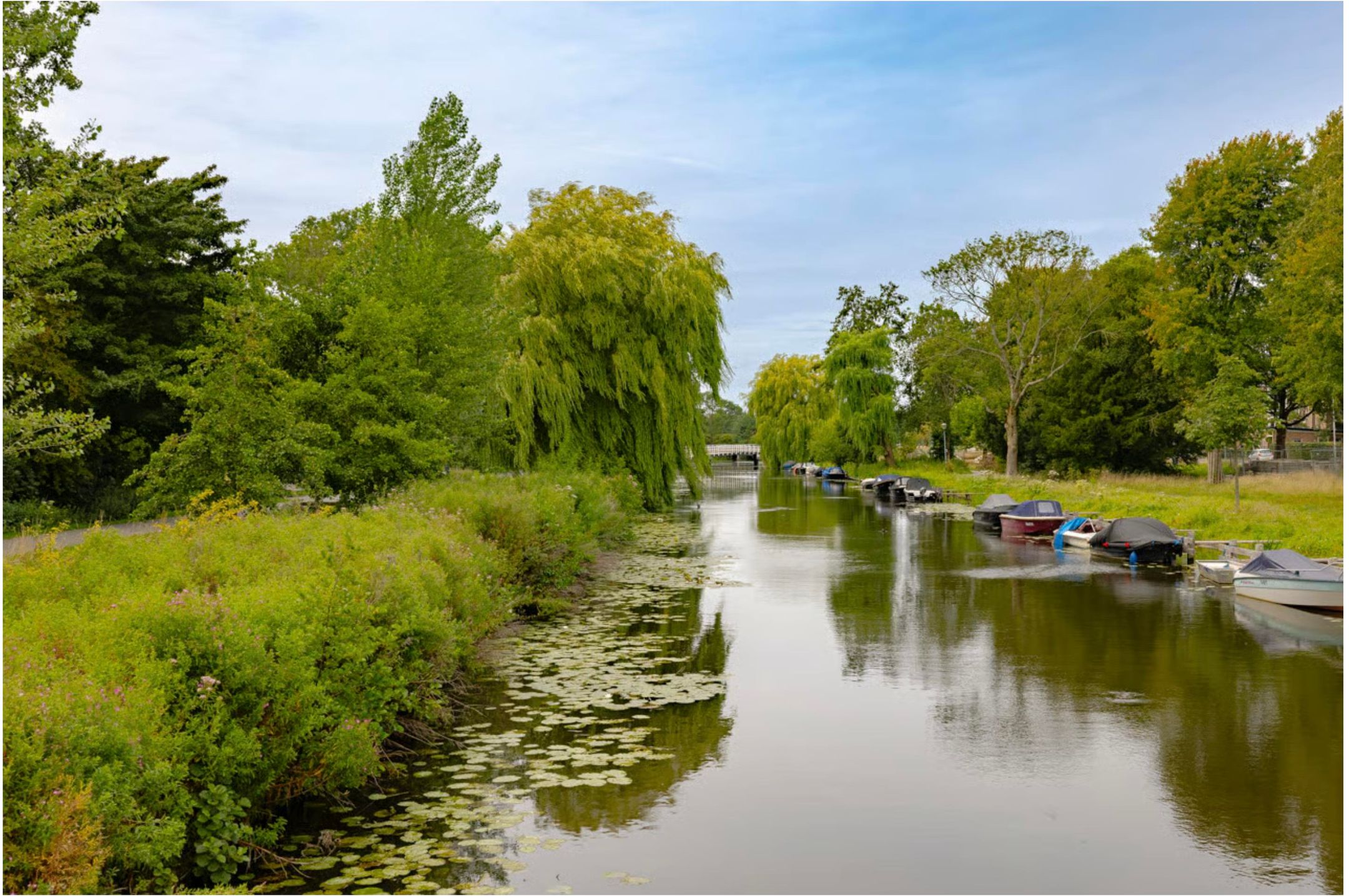 Foto 15 van Rijnstraat 82-B