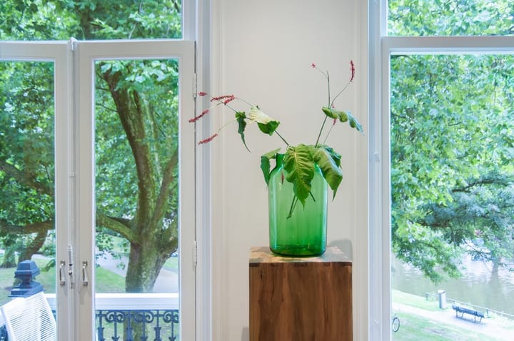 Photo 10 of Eerste Weteringplantsoen 6-C