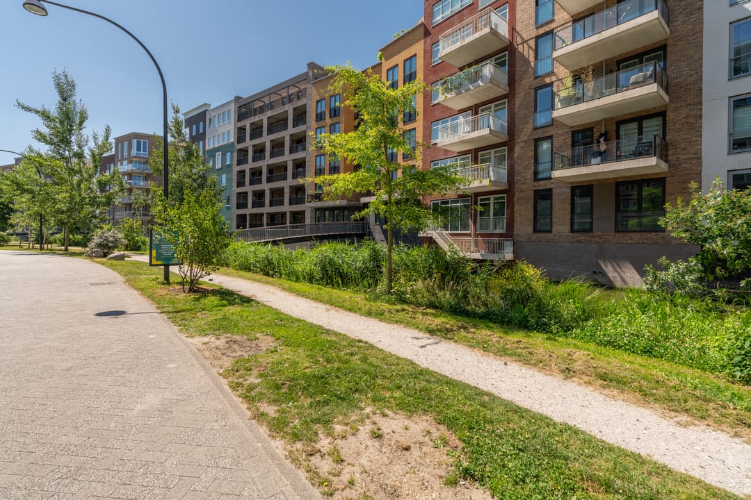 Photo 47 of Carel Willinkgracht 253