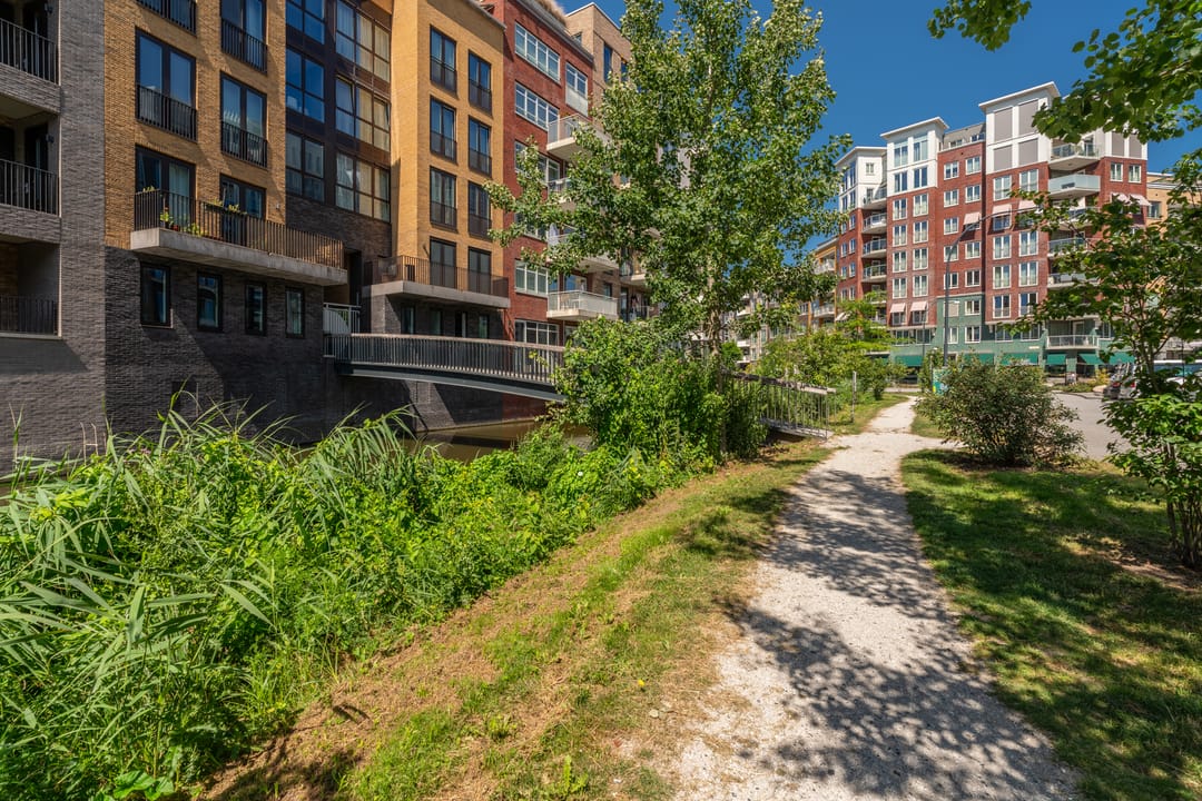 Photo 46 of Carel Willinkgracht 253