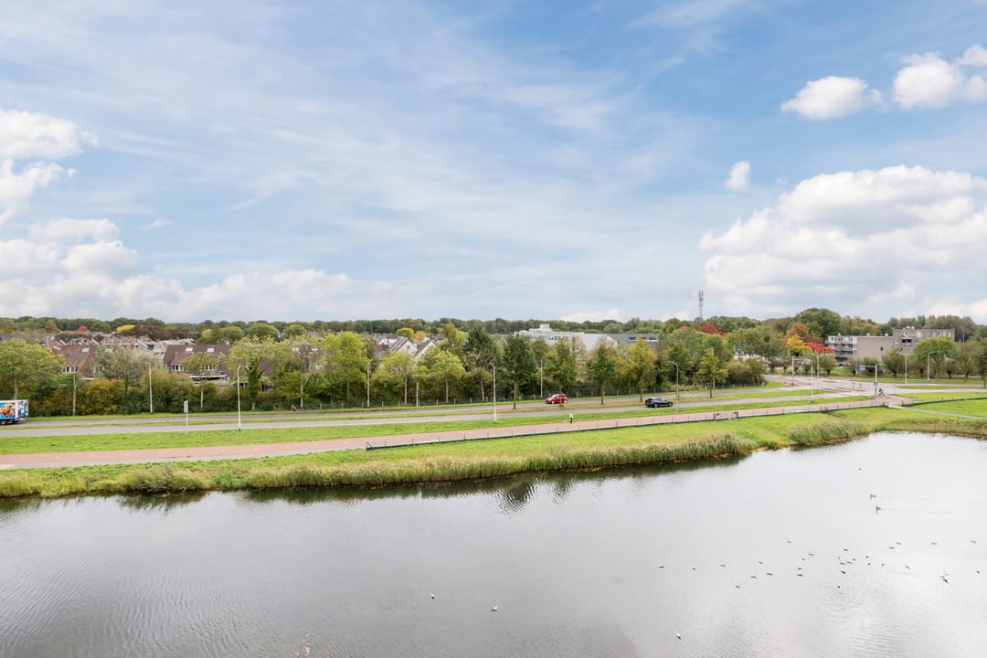 Foto 22 van Waterweegbree 99