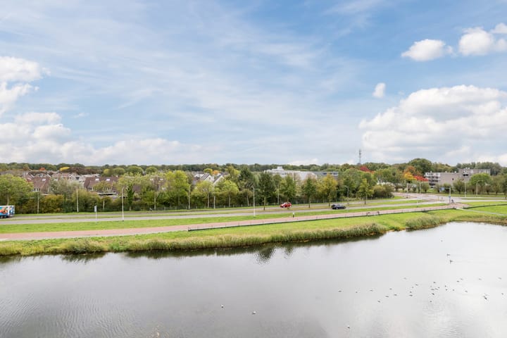 Foto 22 van Waterweegbree 99