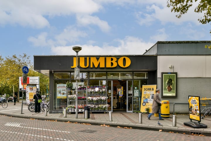 Foto 25 van Van Boshuizenstraat 597