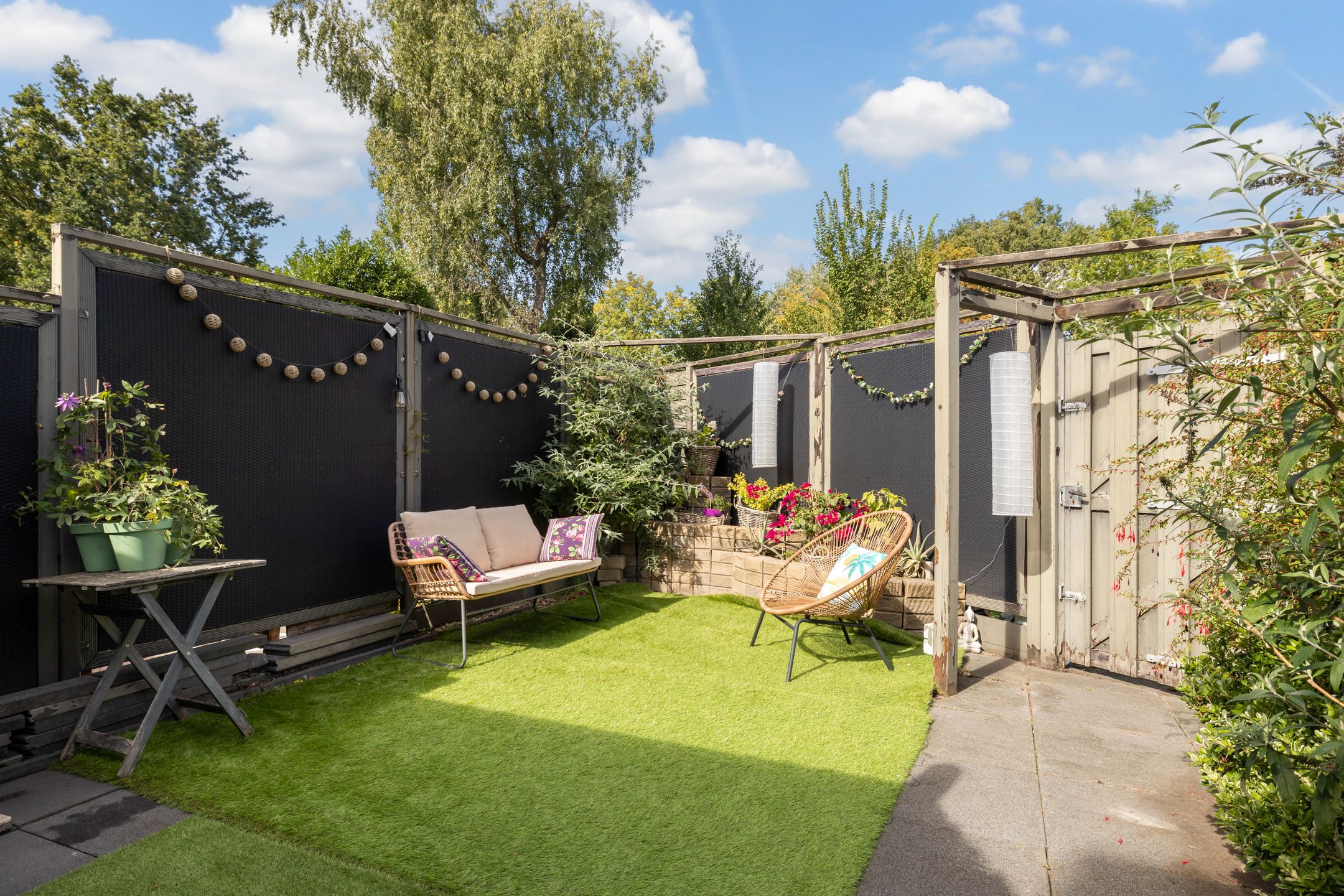 Foto 3 van Velduil 32